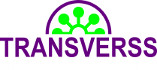 TRANSVERSS conseil en Ressources Humaines et Technologies de l'information